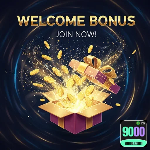 VIP services and exclusive gaming experience at 9000 - 9000